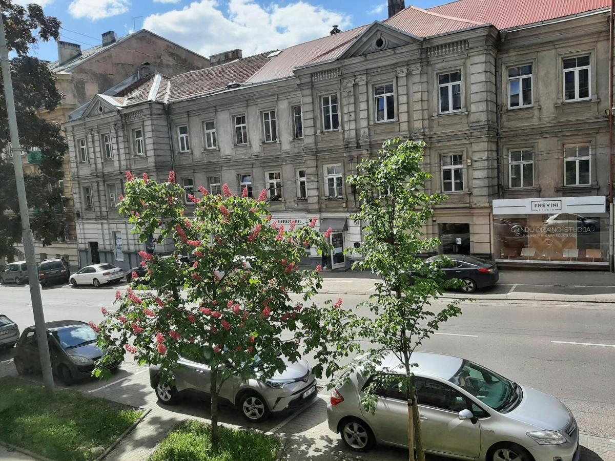 Centrally Located Cosy Studio Vilnius Bagian luar foto
